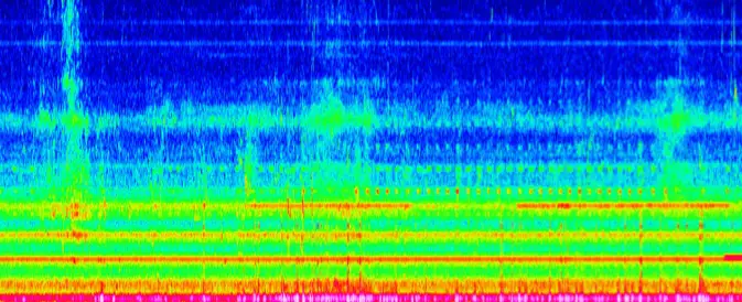 Brummton Ursachen-Analyse